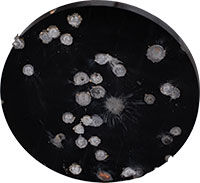 shot metal target